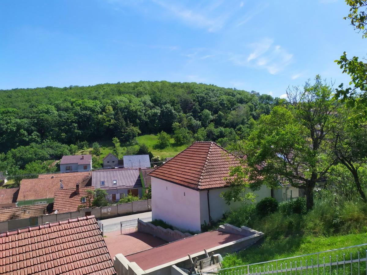 Němčičky Apartment Koprivovi מראה חיצוני תמונה